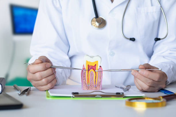 Best Knocked-Out Tooth Emergency  in Waynesville, MO
